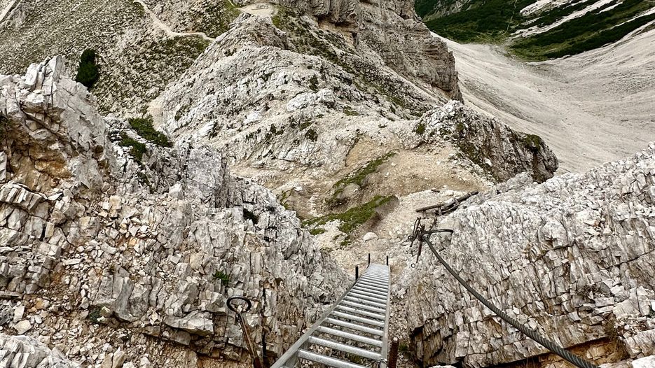 Eine steile Metallleiter führt hinunter in eine felsige Schlucht, umgeben von steilen Felsen und einer grünen Wiese im Hintergrund.