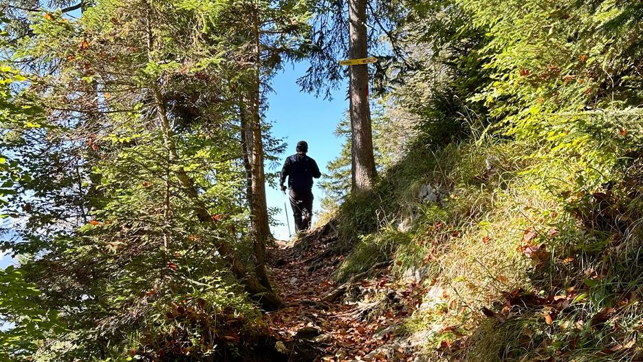 Ein Wanderer auf einem schmalen Pfad zwischen Bäumen, umgeben von herbstlichen Blättern und blauem Himmel.