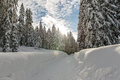 Leutasch im Winter