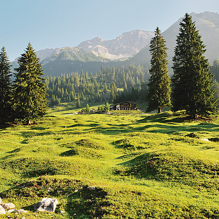 Sommer in Leutasch am Seefelder Plateau