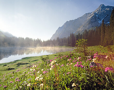 Wander- und Biketouren in Tiroler Seen- und Berglandschaft