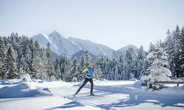 Cross-country skier gliding through snowy forest with alpine mountains in the background