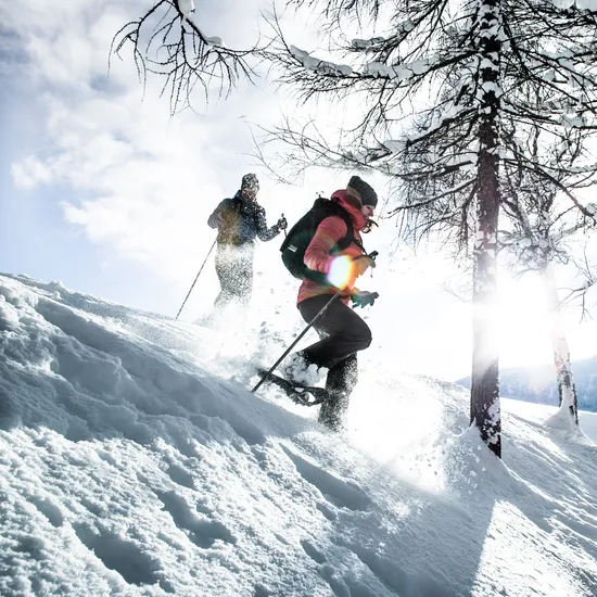 Zwei Personen wandern mit Schneeschuhen bergab durch einen verschneiten Wald im Sonnenlicht