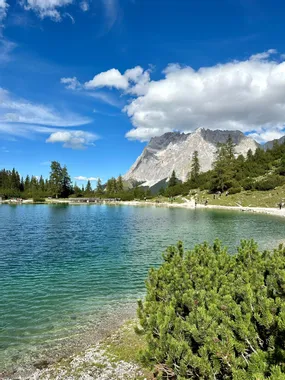 Clear Alpine lake with turquoise water surrounded by pine trees and rugged mountains under blue sky