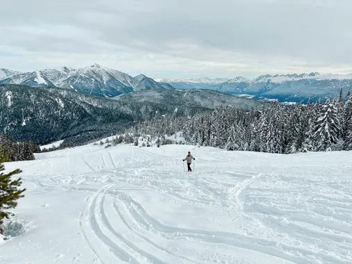 Person fährt Ski durch frischen Schnee auf einem Berghang mit verschneitem Alpenwald und Gipfeln
