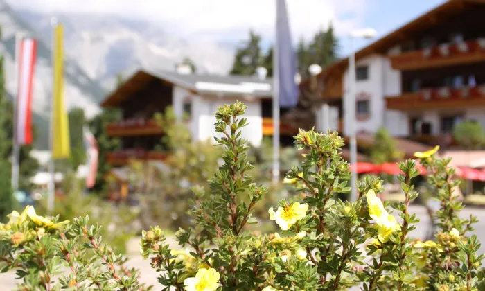 Yellow flowers in front of alpine hotel with balconies and flags in mountain village
