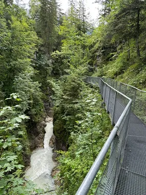 Metal walkway through lush forest above narrow mountain stream gorge