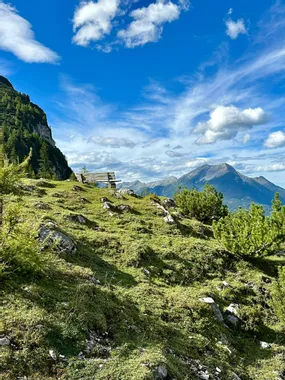 Wooden bench on grassy mountain slope with alpine peaks and blue sky in background