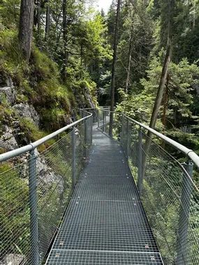 Metal walkway bridge through lush green forest with rocky cliffside
