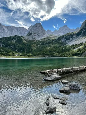 Clear mountain lake with driftwood and rocky shoreline surrounded by alpine peaks and forest