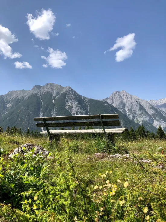 Wooden bench on mountain meadow with alpine peaks and blue sky in summer