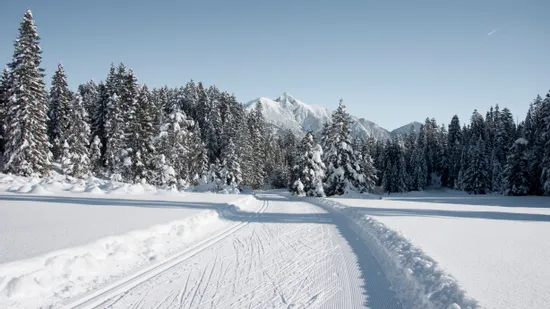 Groomed cross-country ski trail through snowy forest with mountains in the background