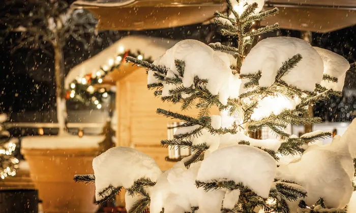 Snow-covered Christmas tree with warm lights at festive outdoor market