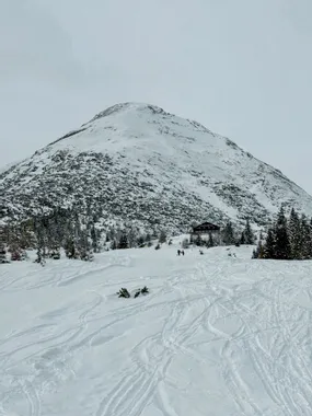 Snow-covered mountain with ski tracks and a lodge surrounded by pine trees