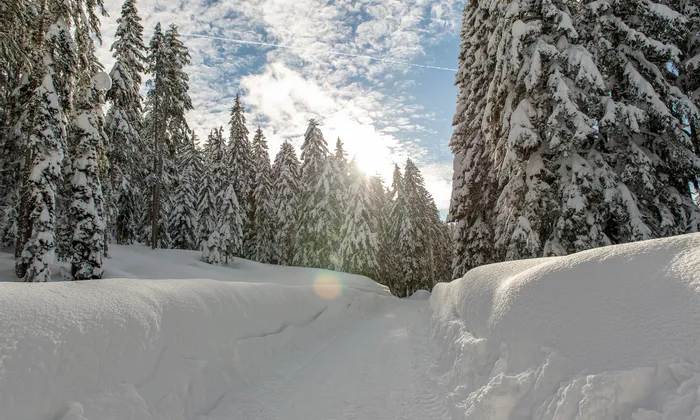 weitwanderweg-im-winter.jpg