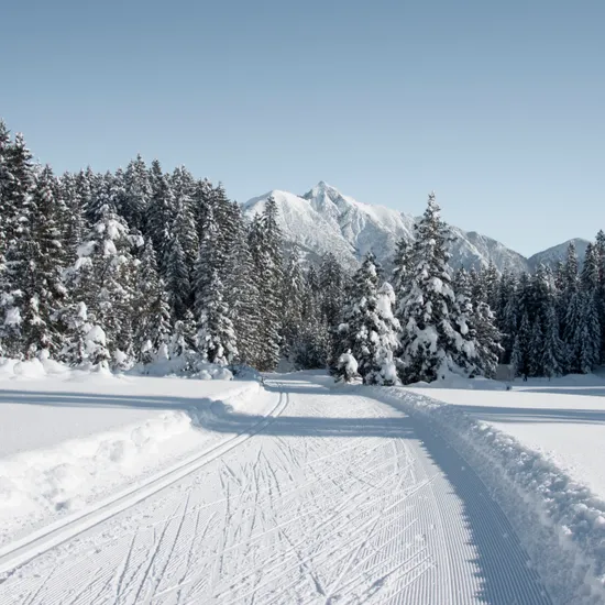 Groomed cross-country ski trail through snowy forest with mountains in the background