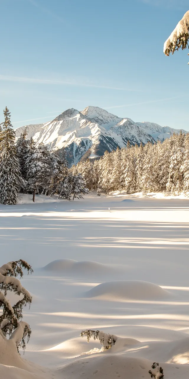 Snow-covered forest and frozen lake with mountain backdrop in winter sunlight
