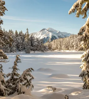 moeserer-see-im-winter.jpg