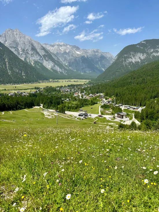 Alpine village with wildflower meadow and mountain backdrop under blue summer sky