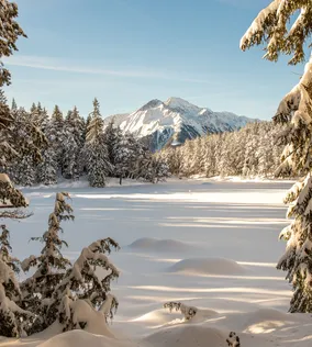 Snow-covered forest and frozen lake with mountain backdrop in winter sunlight